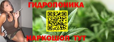 хмурый Бийск