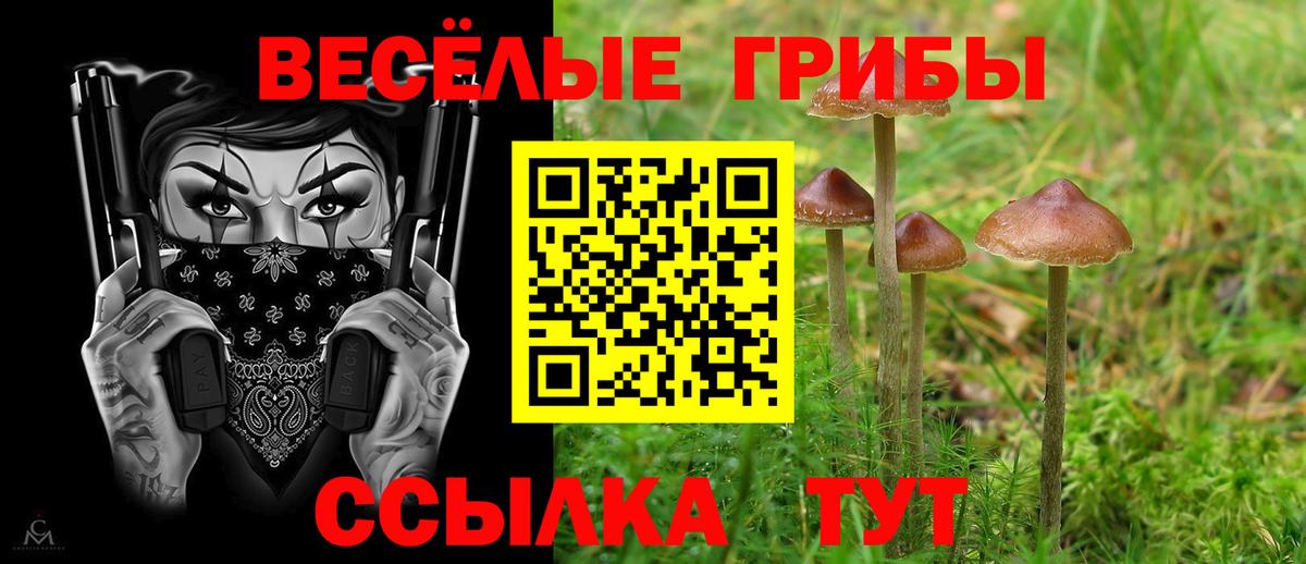 Боровичи  Галлюциногенные грибы мухоморы  Псилоцибиновые грибы ЛСД  Вход с VPN 